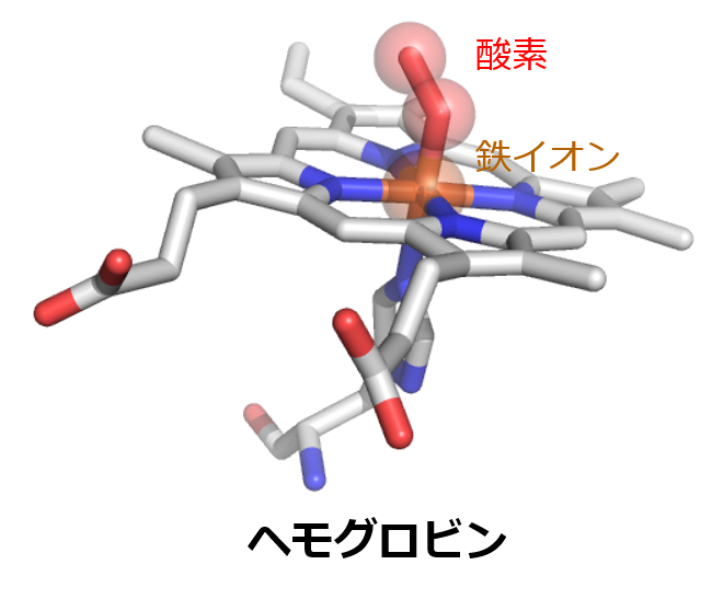 hemoglobin