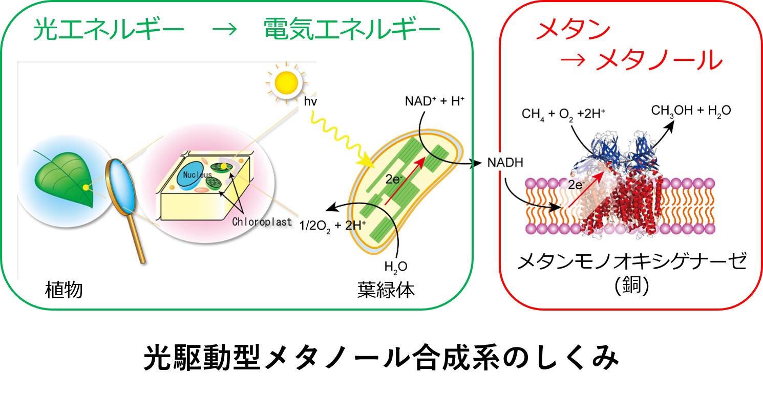 methanolproduction